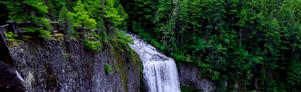 El consistorio se compromete a embellecer la ciudad con plantas y mobiliario urbano